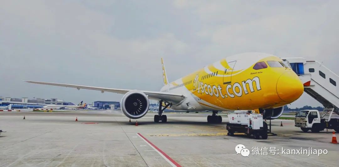 新加坡今增XXXX，累计XXXX | 酷航天津航线复飞，新日允许商务通行