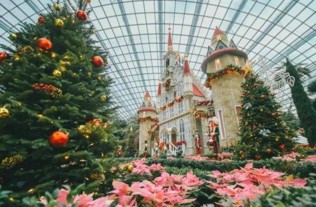 新加坡1月5日前將會結束的本地特色活動，長周末可以約起