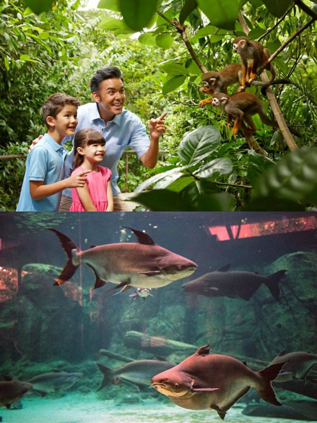 国宝级的客人出席你的新年午宴,有没有猜到是谁来了