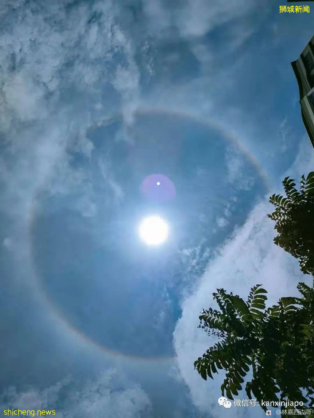 罕见!新加坡出现日晕,祥瑞之兆