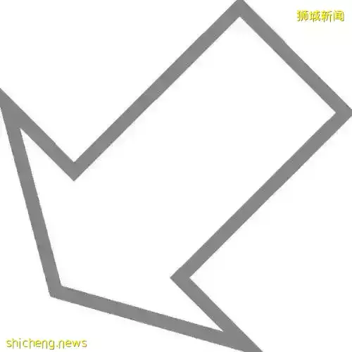 非礼、偷拍！新加坡坐不住了，出动“机械抓狼小分队”专抓色狼