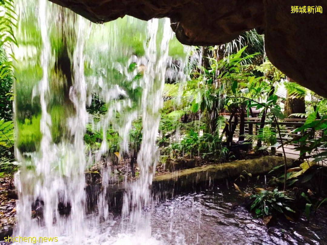 新加坡的娃太太太太幸福了！亞洲最大兒童花園，免~費~玩