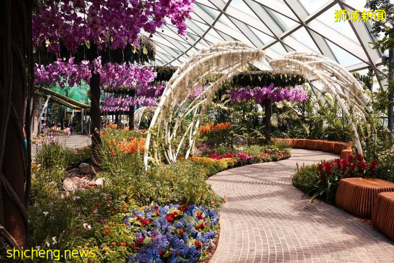 新加坡旅遊局 x ABC Cooking Studio 對這座花園城市狠狠“新”動了