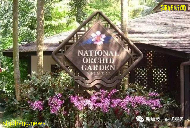 最美麗的自然風光: 新加坡植物園!