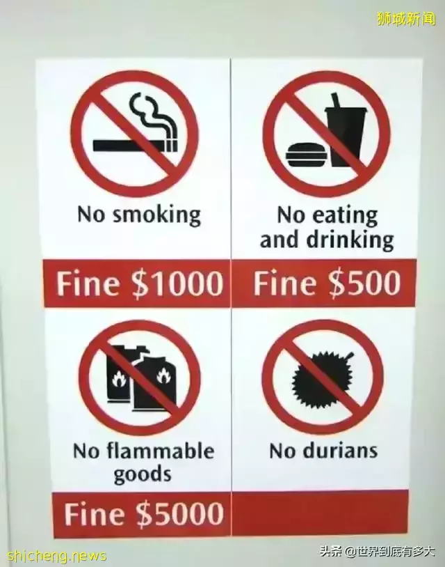 45张照片,带你见识新加坡,不为人知的另一面