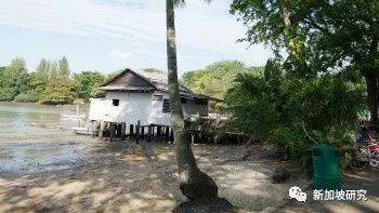 关于新加坡,你可能不知道的