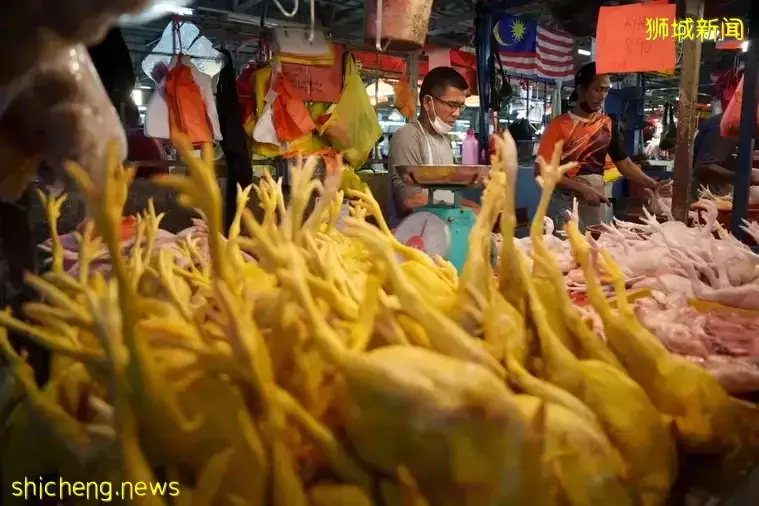 新加坡陷“海南雞飯危機” 李顯龍警告:下次會是別的東西
