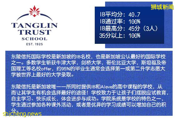 考試動態 2021年5月IBDP大考成績放榜,新加坡學校成績均高于全球水平