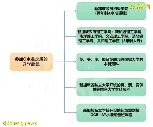 让中考后的路不再彷徨,权威解析中学阶段新加坡留学方案