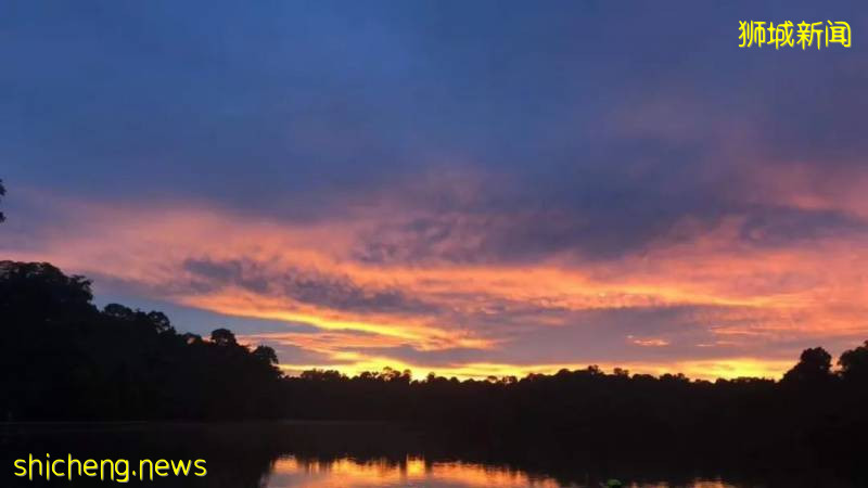 刷屏!新加坡昨天出现绝美彩虹,副总理也忍不住转发!