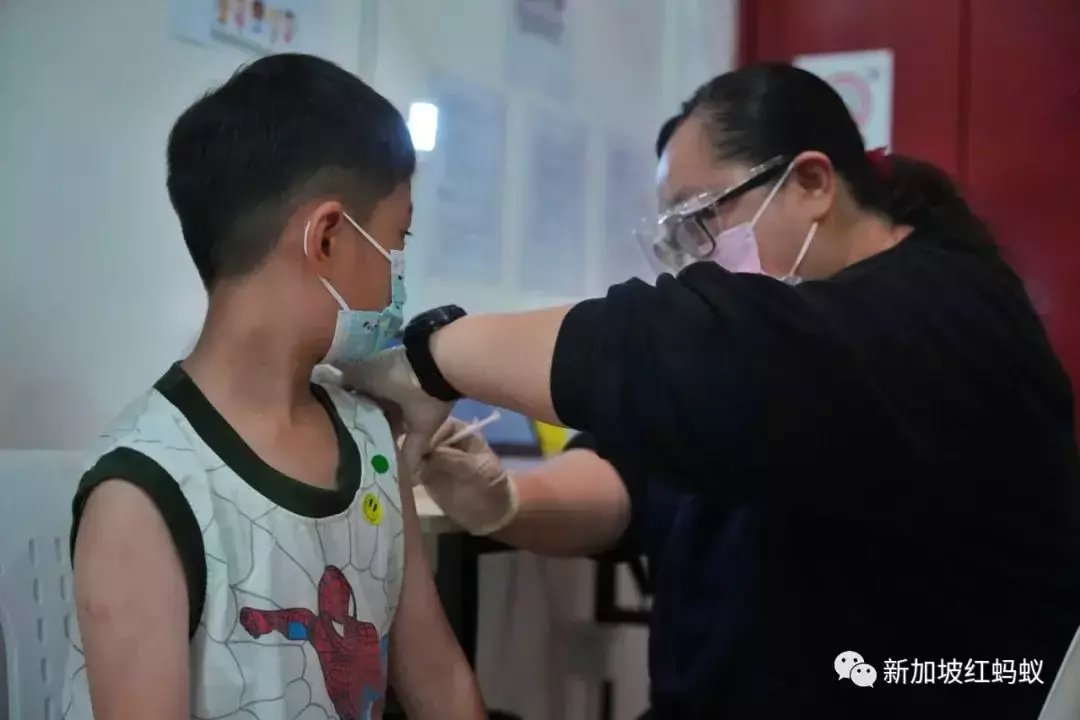 新加坡去年死于冠病者30%已打疫苗 其中接種科興的死亡率最高