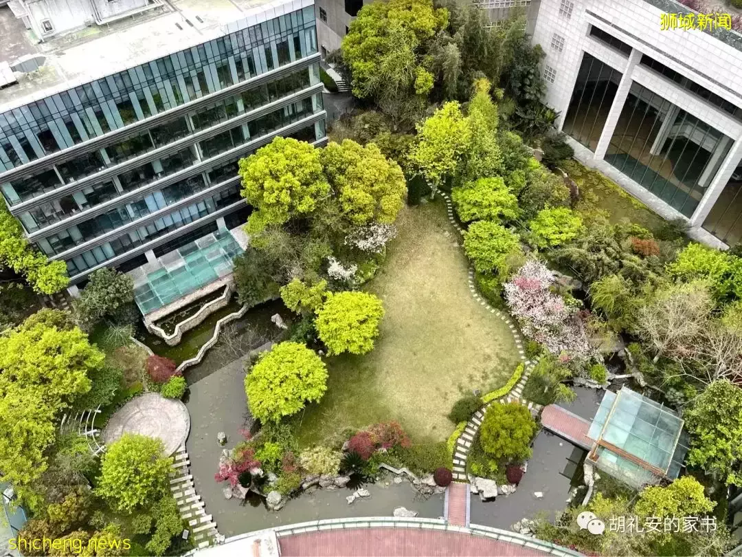 “从新加坡回到上海,封锁一再延长,我被卷入了这场前所未有的大事件”