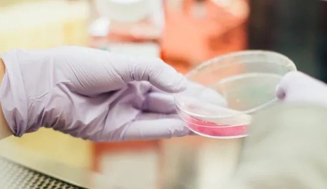 新增X，累计X万 | 制造业下周二逐步复工，新加坡经济砥砺前行