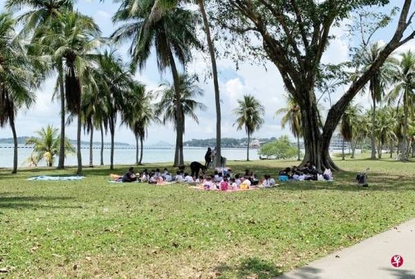 ◤新国CCB◢40师生公园野餐 幼儿培育署调查