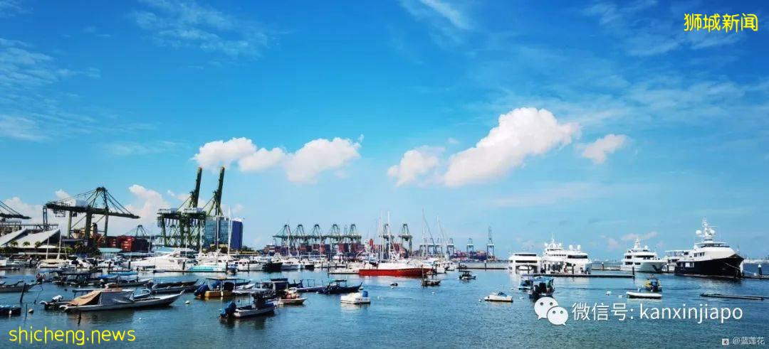 新加坡小众遛娃好去处,吃喝玩乐一应俱有