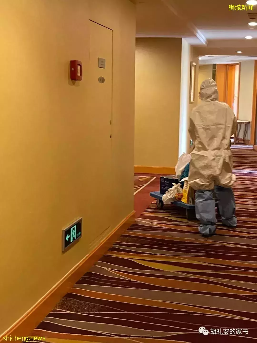 “从新加坡回到上海,封锁一再延长,我被卷入了这场前所未有的大事件”