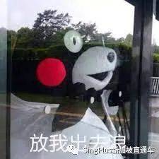 新加坡開放邊境,這次是來真的了