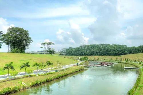 新加坡14+7的居家隔離!中國來的長期准證持有者爲啥不需要