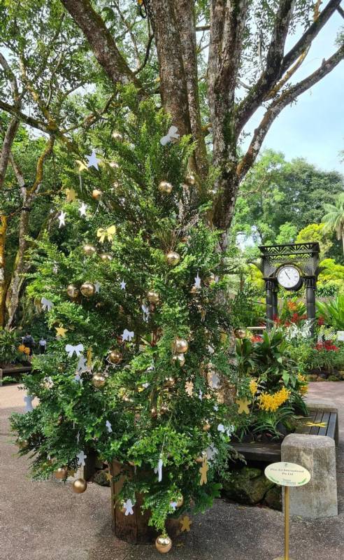 不喜歡人擠人？來新加坡植物園看聖誕燈飾、“世界之樹”吧！入場免費