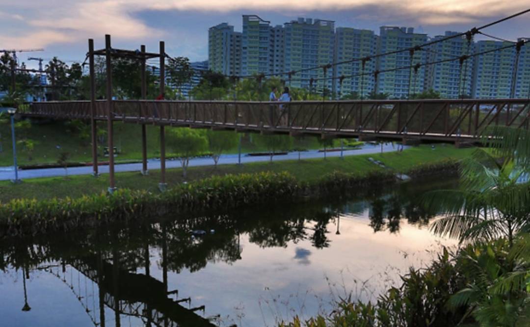 新加坡最美10个蓄水池公园,人少、闺蜜野餐遛娃拍照