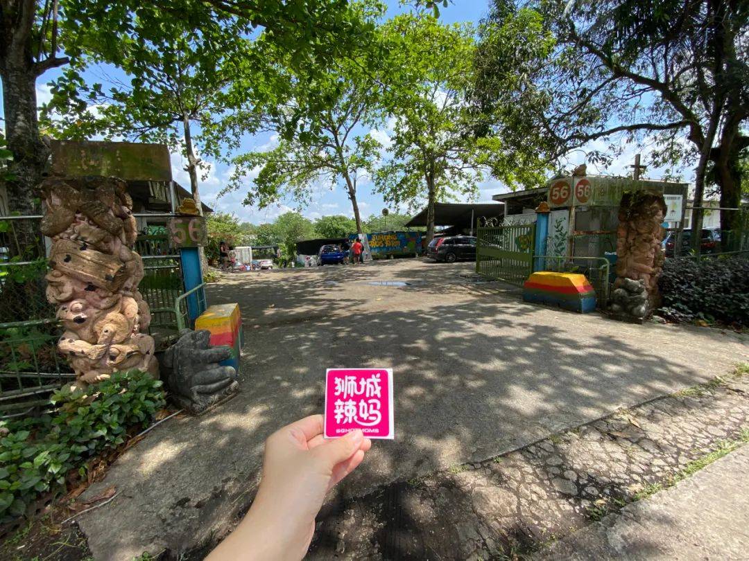 餵羊、擠奶、了解青蛙生長過程,新加坡的農場這麽牛