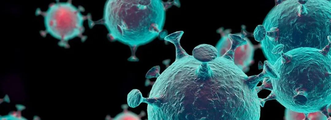 为何来新加坡买重疾险