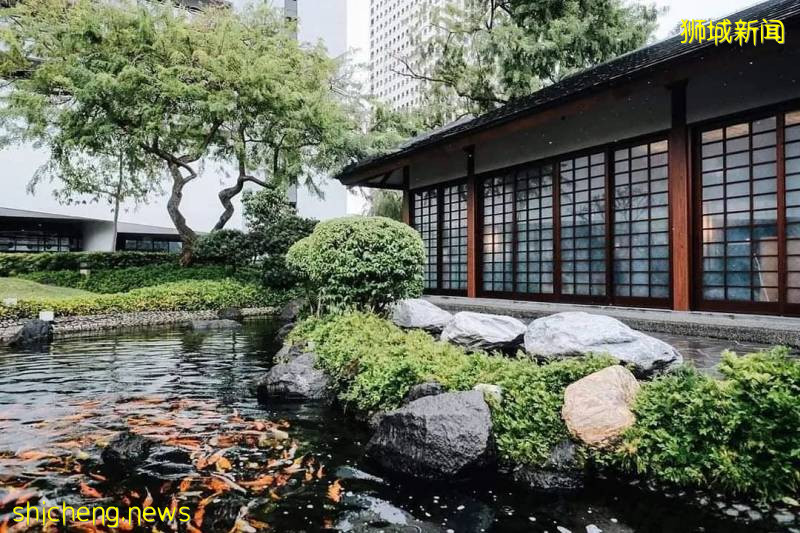 火焰中的“刀光劍影”,新加坡有哪些好吃好玩又好看的日式鐵板燒