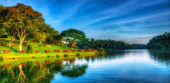 玩在獅城 周末一起去大自然裏野餐——新加坡最適合野餐的十大自然公園
