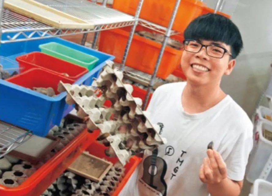 廁所協會會長?!臨床性學家?!美人魚?新加坡這些職業太奇葩啦