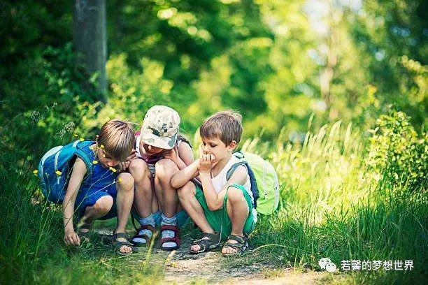 帶上鏟子、放大鏡和昆蟲觀察盒,和小夥伴一起來新加坡的森林探險吧