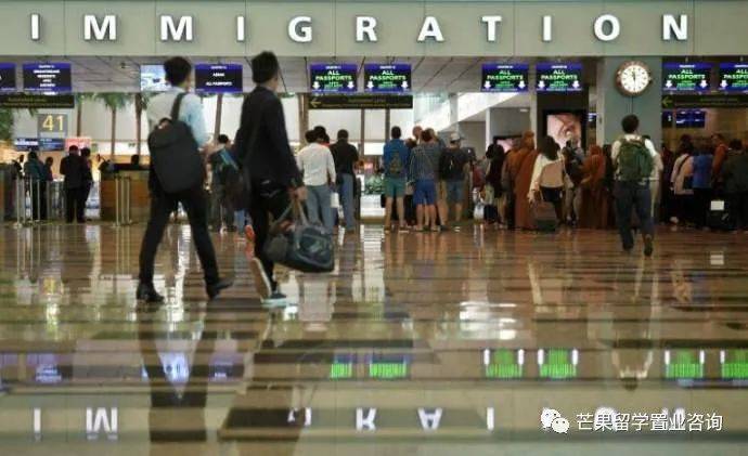 新加坡都有哪些准证