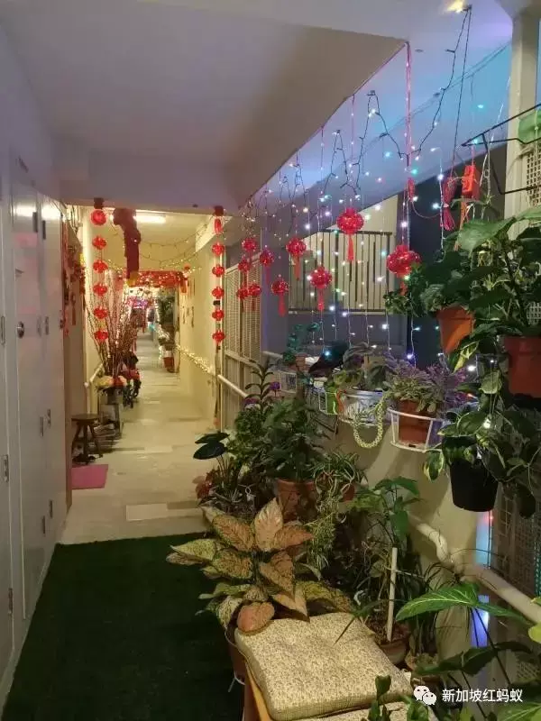 獅城春節氛圍最濃厚的，就是這些裝飾得很喜慶的組屋走廊