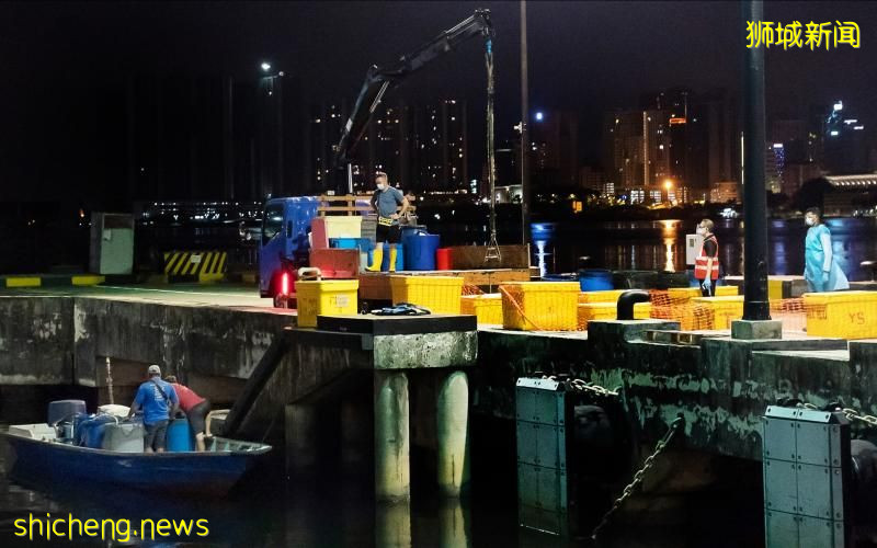 下周重开防疫措施将加强 裕廊渔港批发市场分区禁互动