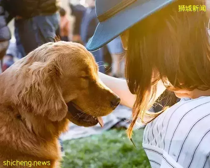 新加坡留学日常开销紧张怎么办?学习闲暇时间,同学们可以