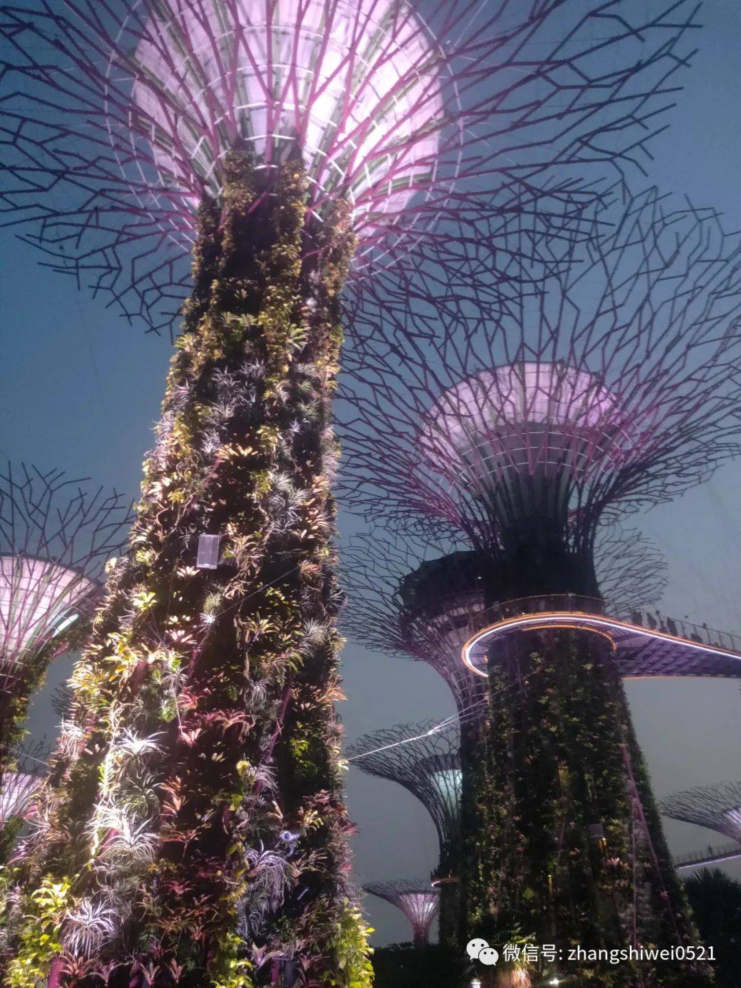 新加坡遊記系列 常規又不常規的獅城遊覽