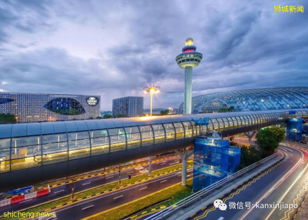 最新调整!入境新加坡必知政策汇总