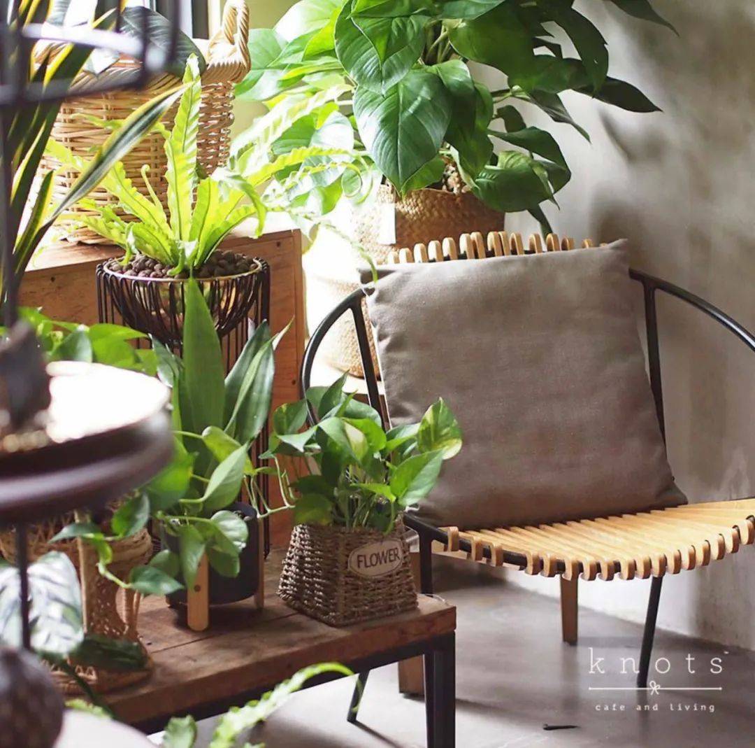 獅城十二時辰 "巳時"早午餐時刻，Brunch優選又有哪些呢