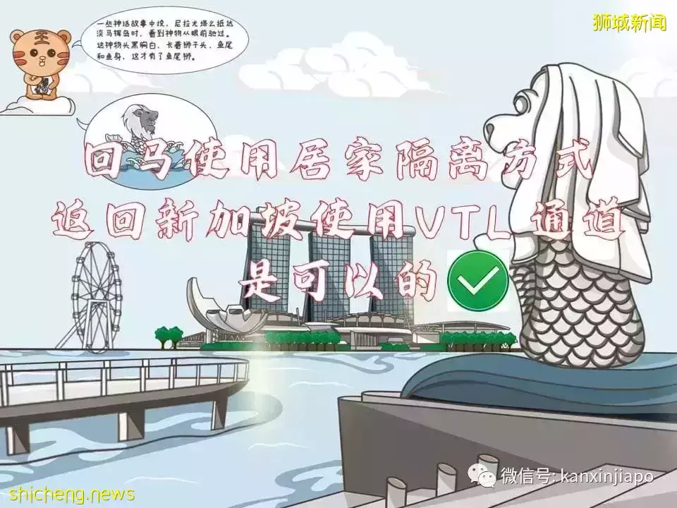 最新攻略！搶不到VTL車票，但還是想回馬國過年怎麽辦