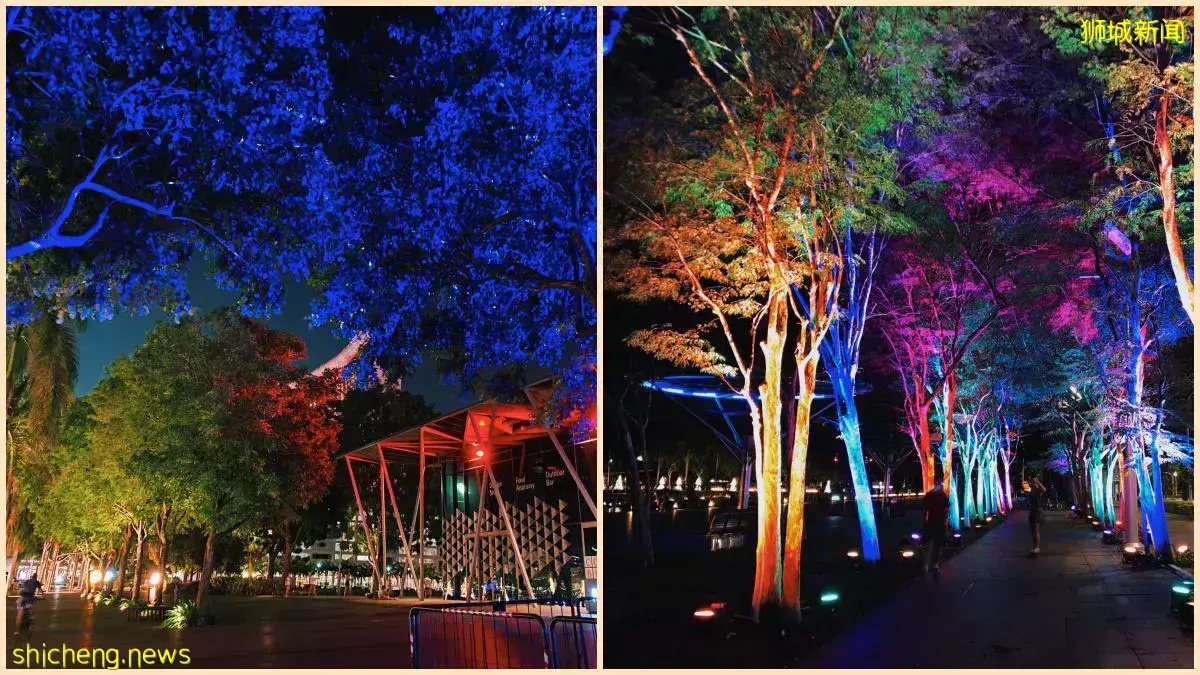 濱海灣亮燈啦! 每晚 8 點 到 10:30 亮燈直到12月31日