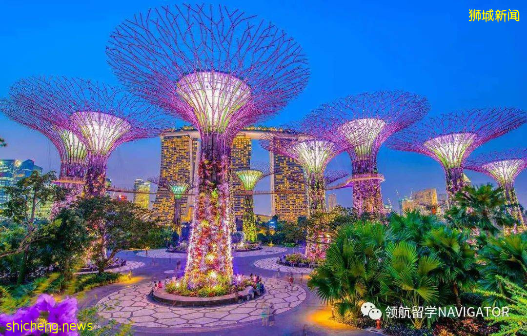 新加坡留學 基礎教育亞洲排名第一的新加坡