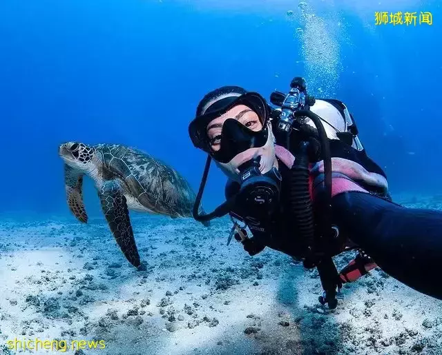 盘点新加坡超好玩的水上活动!即使不会游泳也可以体验~一起暴汗一起消暑