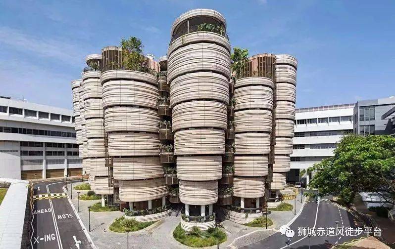 2020年1月11日星期六夕阳徒：南洋理工大学