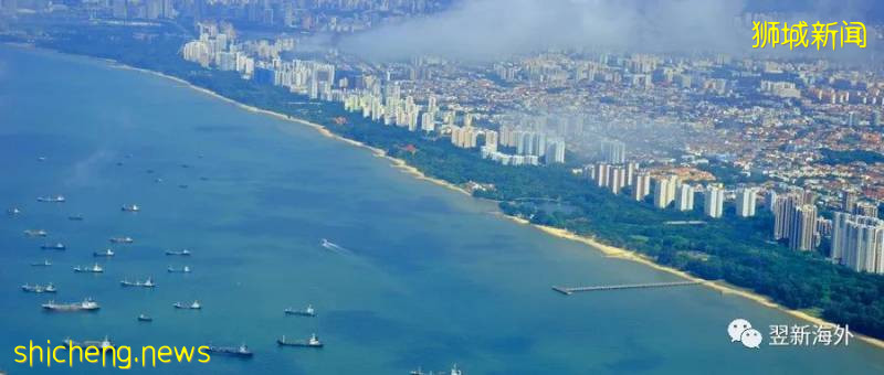 免試入學新加坡政府學校的唯一機會!新加坡小一直入申請即將開始!