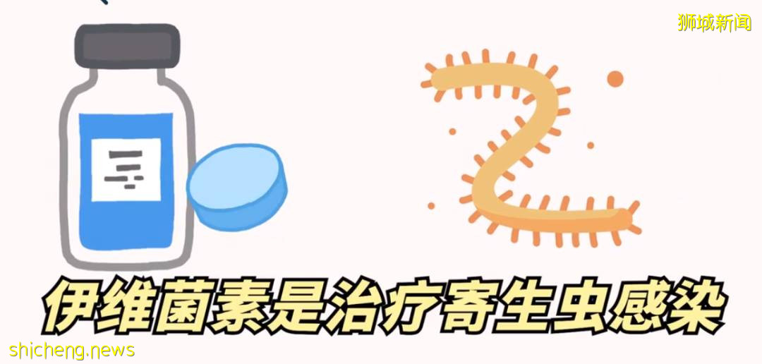 寄生虫药伊维菌素为何被新加坡误以为是治疗冠病的药物