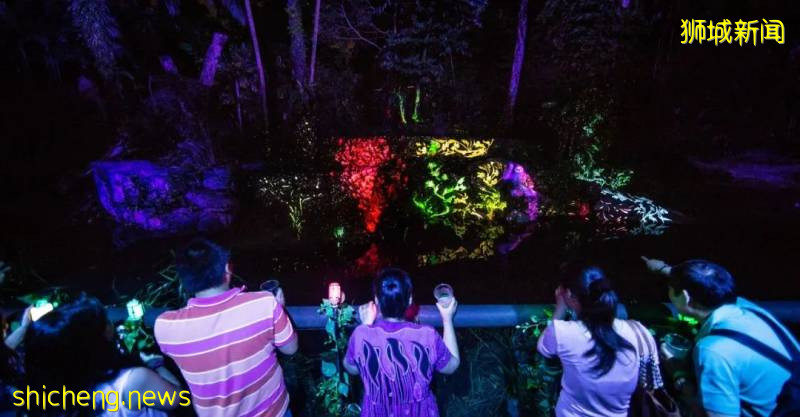 新加坡動物園沉浸式多媒體夜行體驗“RAINFOREST LUMINA”|CAAPA周末分享!