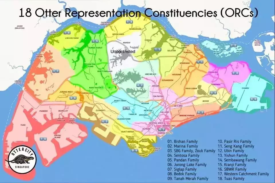 你見過熱戀中的水獺嗎