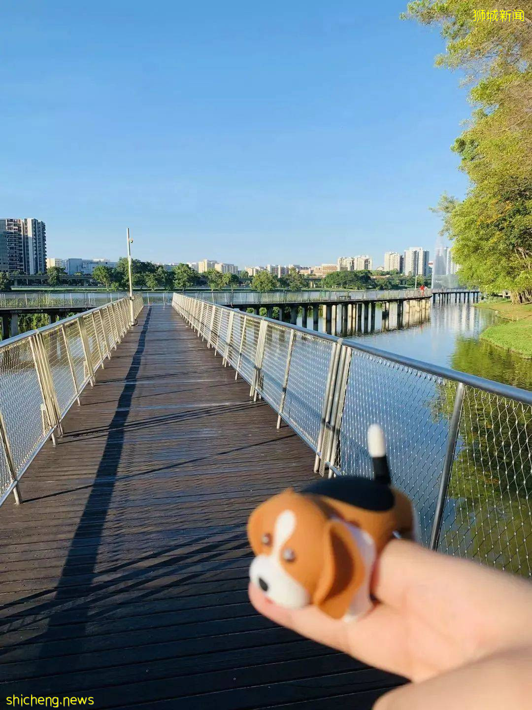 美到不行的裕廊湖畔花园,你不来打卡一下吗