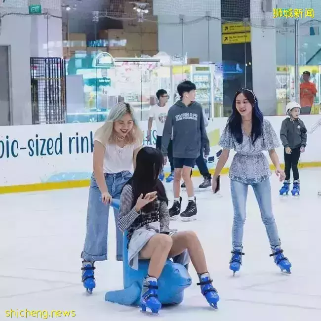 中国冬奥会金牌组合幕后推手,竟然是新加坡人