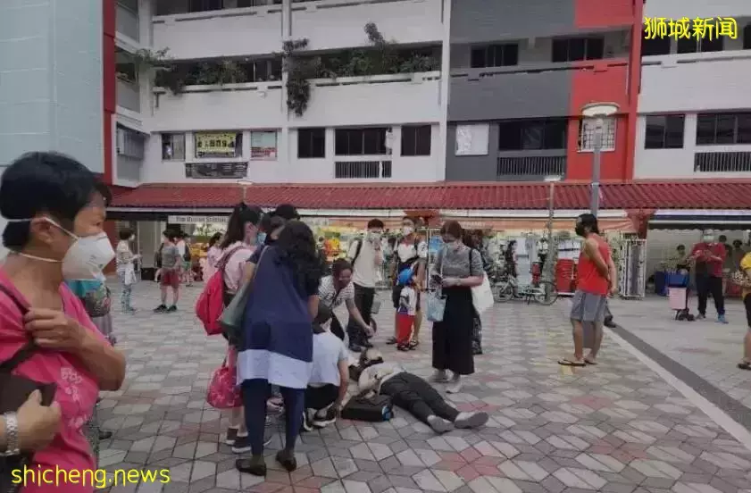 新加坡野猪伤人事件,现场画面首次曝光