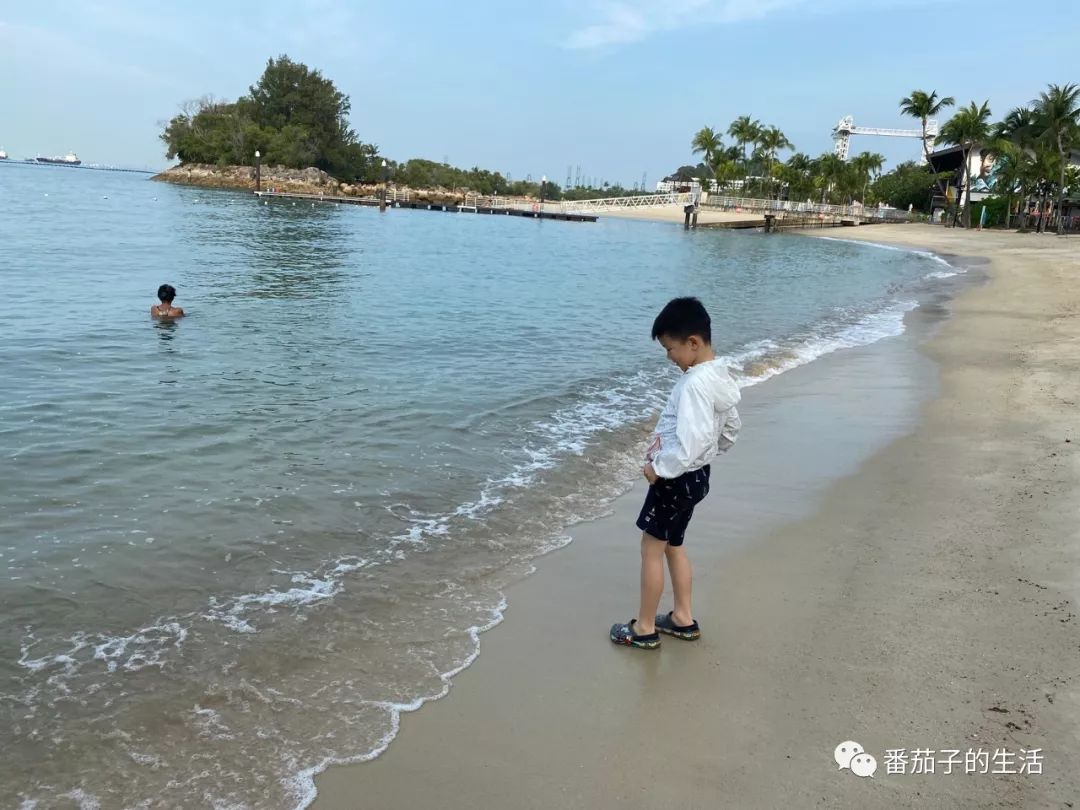 我们的新加坡之行（一）